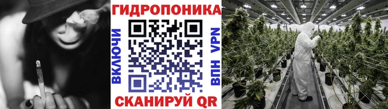 хочу наркоту  Михайловск  OMG   МАРИХУАНА сатива 